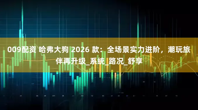 009配资 哈弗大狗 2026 款：全场景实力进阶，潮玩旅伴再升级_系统_路况_舒享