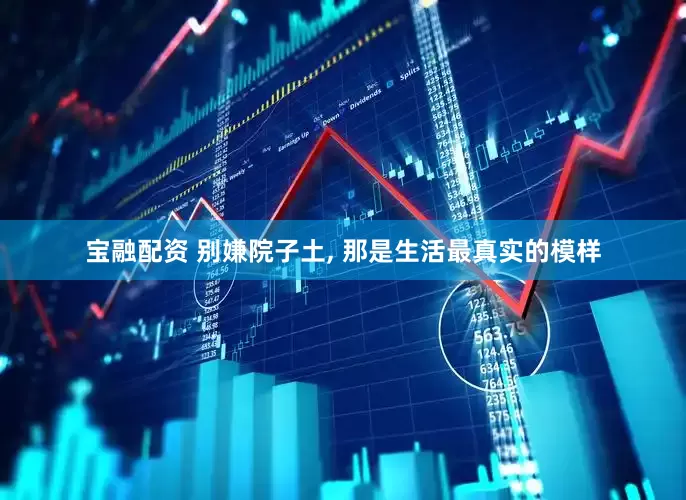 宝融配资 别嫌院子土, 那是生活最真实的模样