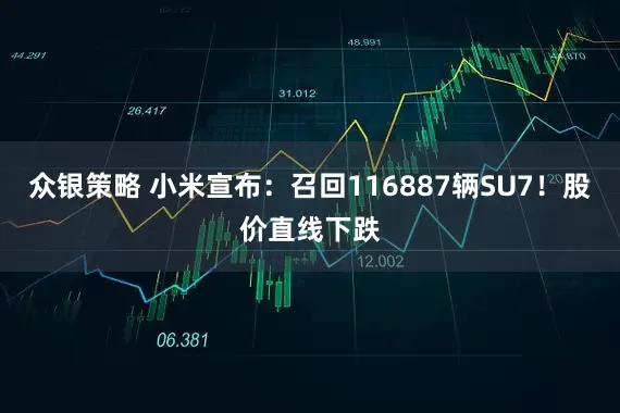 众银策略 小米宣布：召回116887辆SU7！股价直线下跌