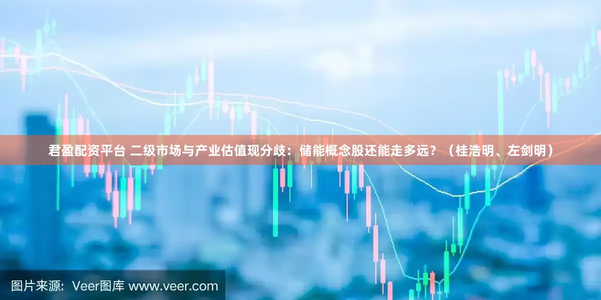 君盈配资平台 二级市场与产业估值现分歧:储能概念股还能走多远?(桂浩明、左剑明)